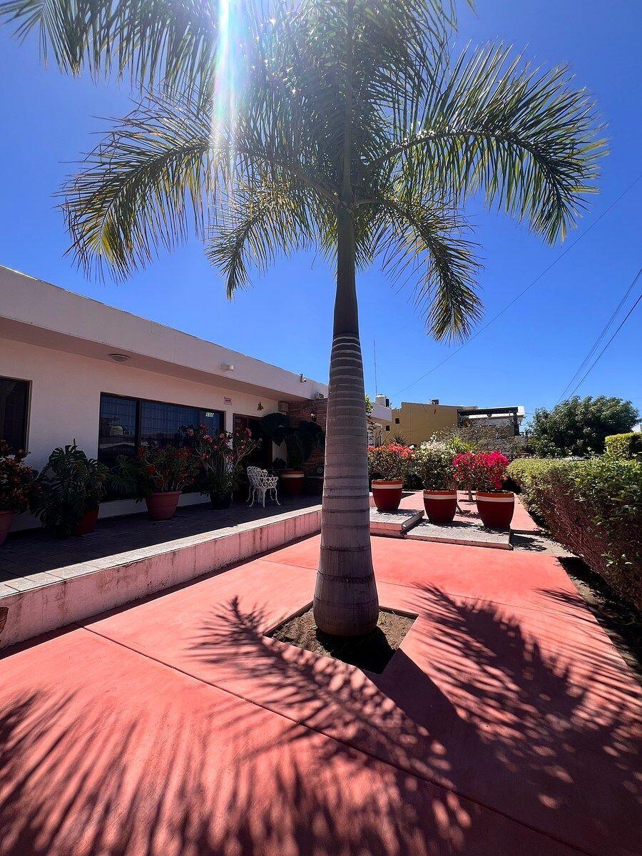Club Campestre General Experience this cozy, single-story, two-bedroom home. Ideal for those seeking comfort, functionality, and a safe and peaceful environment. One of its greatest assets is the generous lot size, providing a spacious patio and two parking spaces. Delivered unfurnished, it comes equipped with mini-split air conditioners, closets and curtains; ready to move in. Located within the gated community of Punta Arena, at Fraccionamiento Coronado with controlled access and 24/7 security, you'll enjoy amenities such as pool, BBQ zone and playground. Its strategic location puts you close to shopping centers, supermarkets and medical center. An excellent opportunity to become your next home or investment. for sale